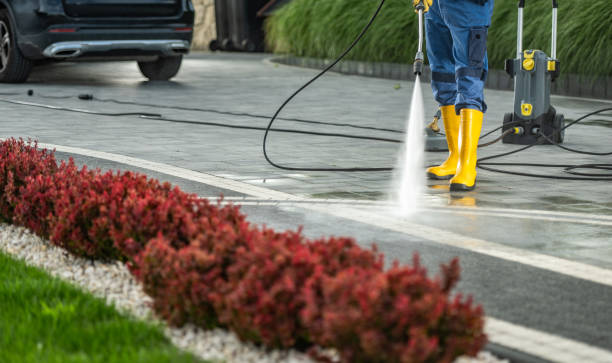 Best House Pressure Washing  in Marshall, TX